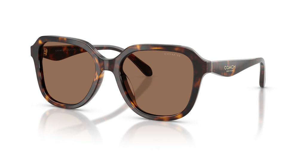 Coach 0HC8437F 512073 56 Dark Tortoise/ Brown Solid