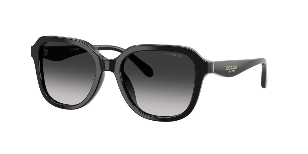 Coach 0HC8437U 50023C 53 Black/ Grey Gradient