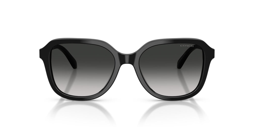 Coach 0HC8437U 50023C 53 Black/ Grey Gradient