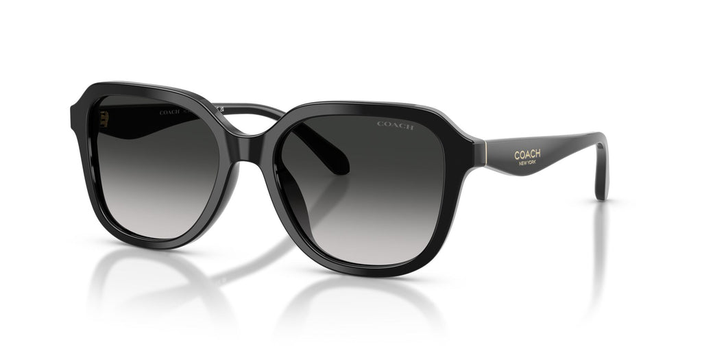 Coach 0HC8437U 50023C 53 Black/ Grey Gradient