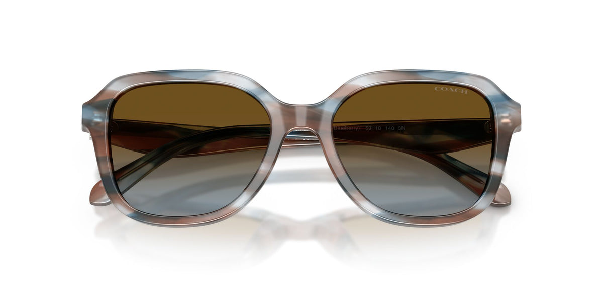 Coach 0HC8437U 589913 53 Striated Maple/Blueberry/ Brown Blue Gradient