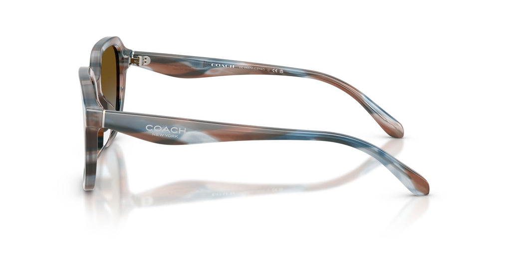 Coach 0HC8437U 589913 53 Striated Maple/Blueberry/ Brown Blue Gradient