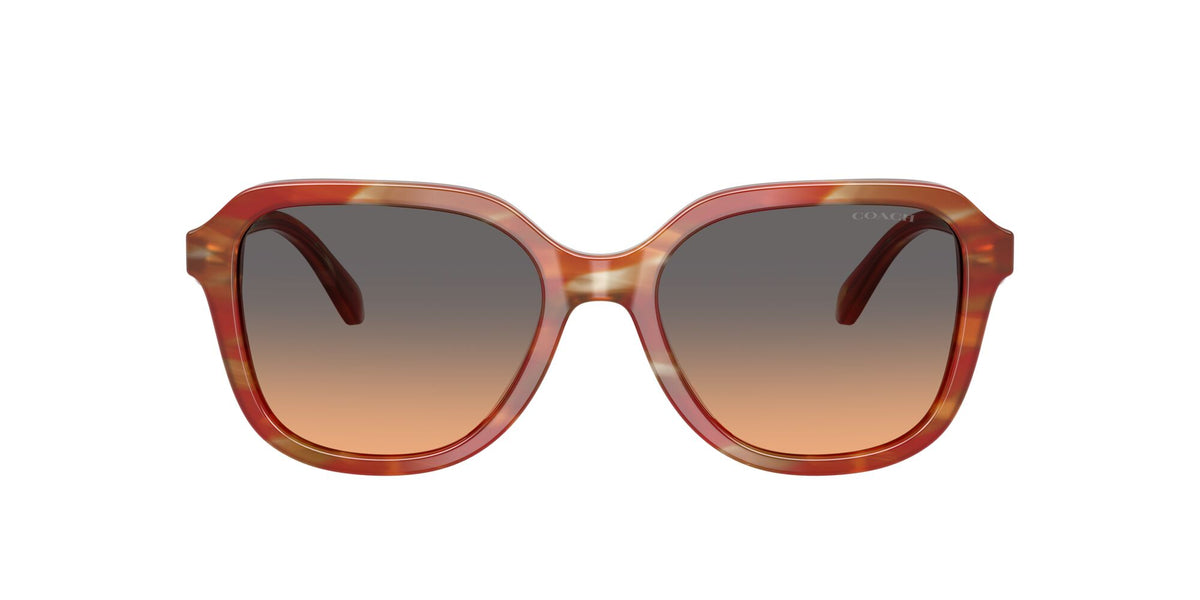 Coach 0HC8437U 590018 53 Striated Chestnut/ Smokey Peach Gradient