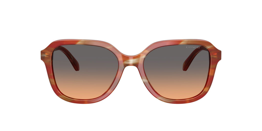Coach 0HC8437U 590018 53 Striated Chestnut/ Smokey Peach Gradient