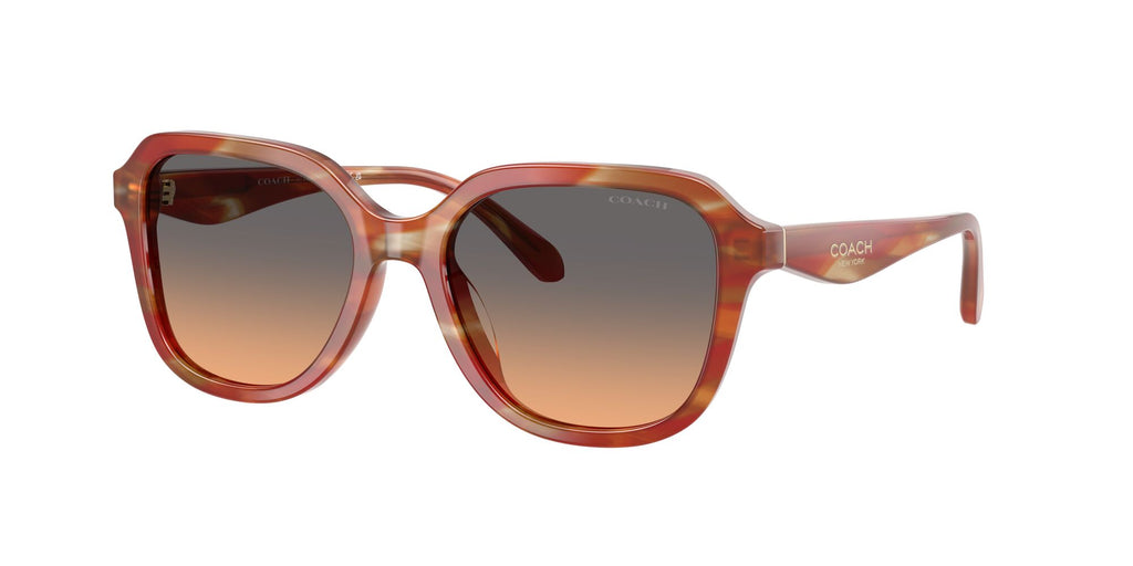 Coach 0HC8437U 590018 53 Striated Chestnut/ Smokey Peach Gradient