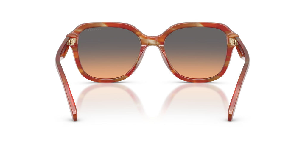 Coach 0HC8437U 590018 53 Striated Chestnut/ Smokey Peach Gradient