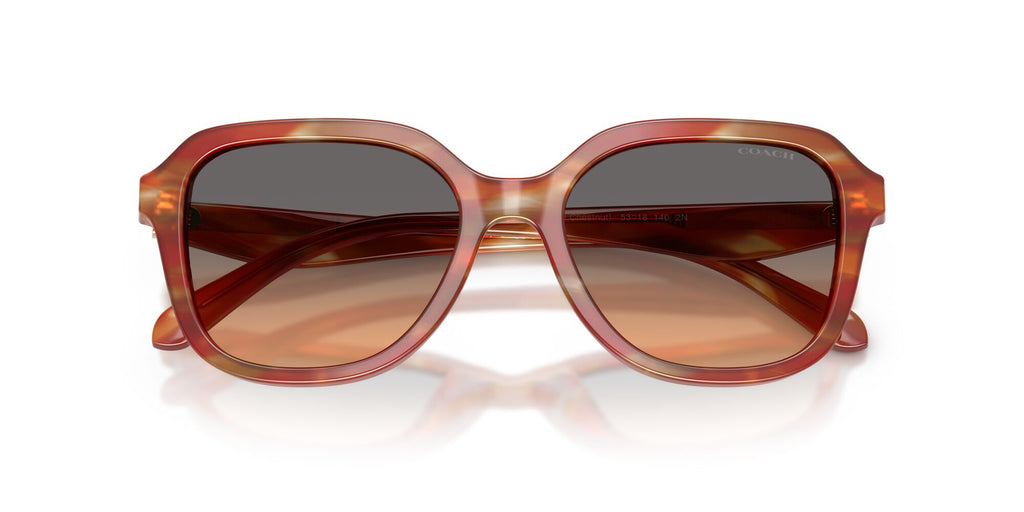 Coach 0HC8437U 590018 53 Striated Chestnut/ Smokey Peach Gradient
