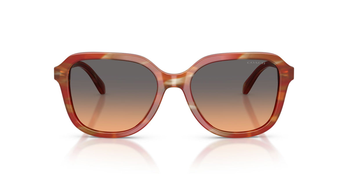 Coach 0HC8437U 590018 53 Striated Chestnut/ Smokey Peach Gradient