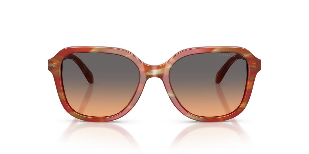 Coach 0HC8437U 590018 53 Striated Chestnut/ Smokey Peach Gradient