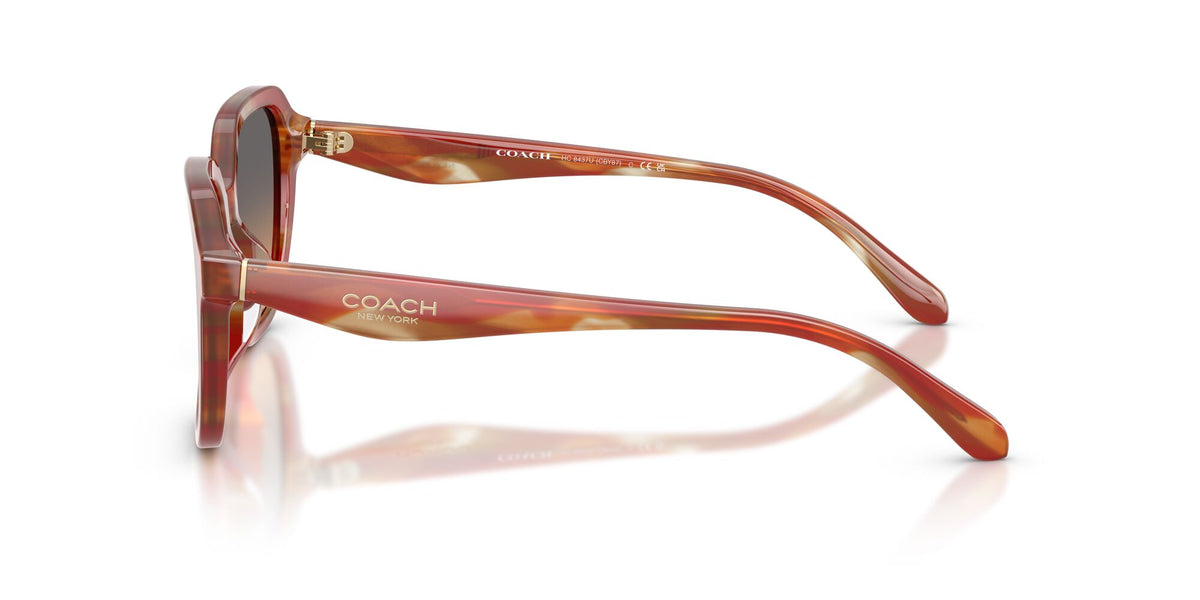 Coach 0HC8437U 590018 53 Striated Chestnut/ Smokey Peach Gradient