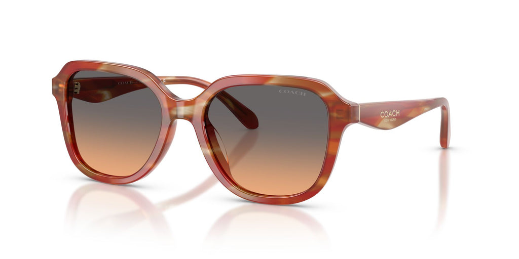 Coach 0HC8437U 590018 53 Striated Chestnut/ Smokey Peach Gradient