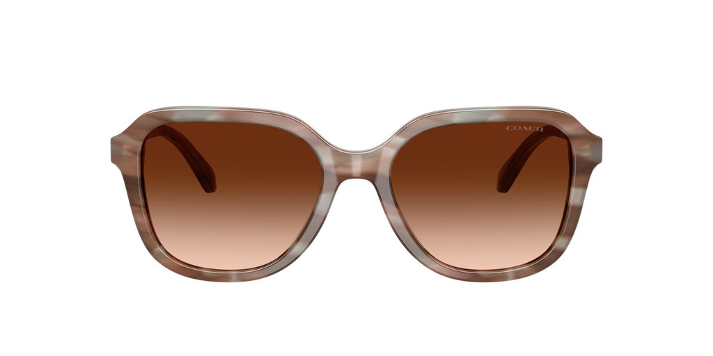 Coach 0HC8437U 590174 53 Striated Redwood/Maple/ Brown Gradient