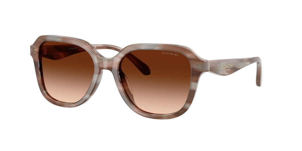 Coach 0HC8437U 590174 53 Striated Redwood/Maple/ Brown Gradient