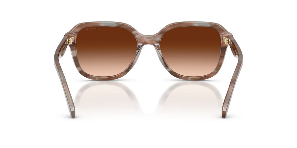 Coach 0HC8437U 590174 53 Striated Redwood/Maple/ Brown Gradient