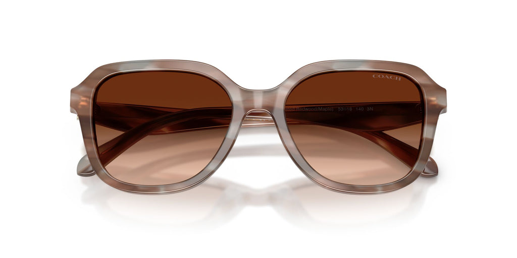 Coach 0HC8437U 590174 53 Striated Redwood/Maple/ Brown Gradient