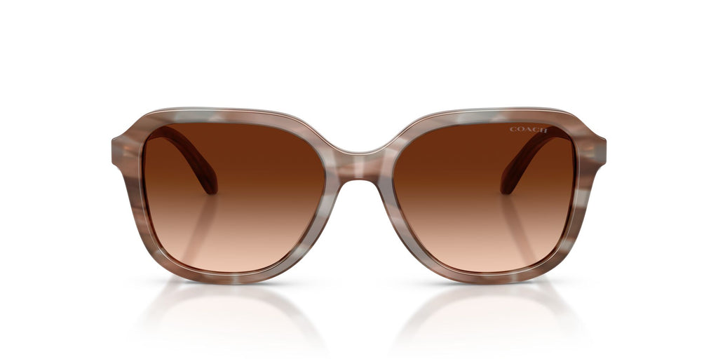 Coach 0HC8437U 590174 53 Striated Redwood/Maple/ Brown Gradient