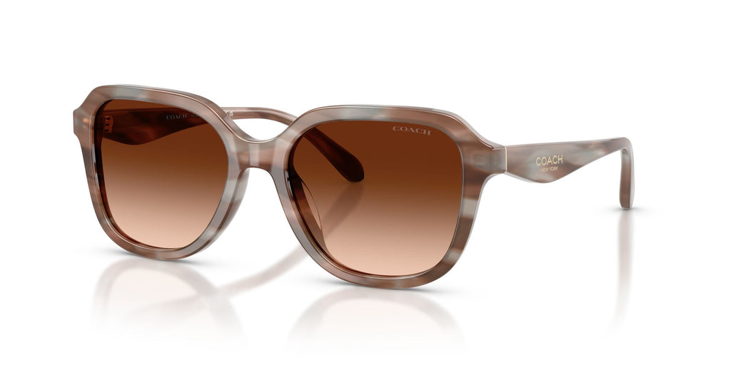 Coach 0HC8437U 590174 53 Striated Redwood/Maple/ Brown Gradient