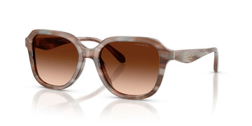 Coach 0HC8437U 590174 53 Striated Redwood/Maple/ Brown Gradient