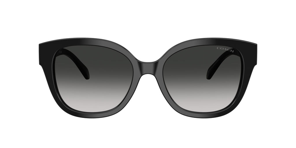 Coach 0HC8438U 500287 56 Black/ Grey Gradient