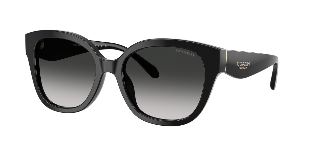 Coach 0HC8438U 500287 56 Black/ Grey Gradient