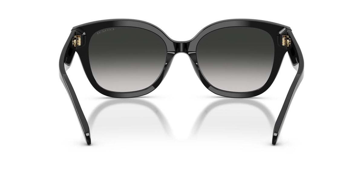 Coach 0HC8438U 500287 56 Black/ Grey Gradient