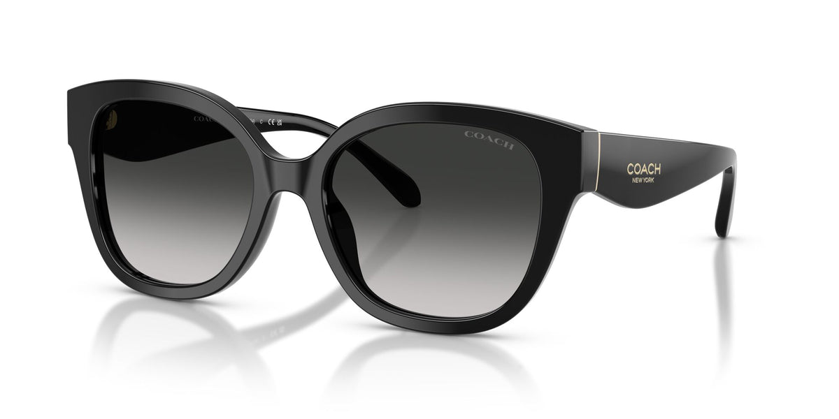 Coach 0HC8438U 500287 56 Black/ Grey Gradient
