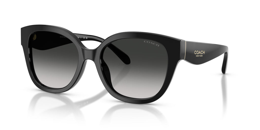 Coach 0HC8438U 500287 56 Black/ Grey Gradient