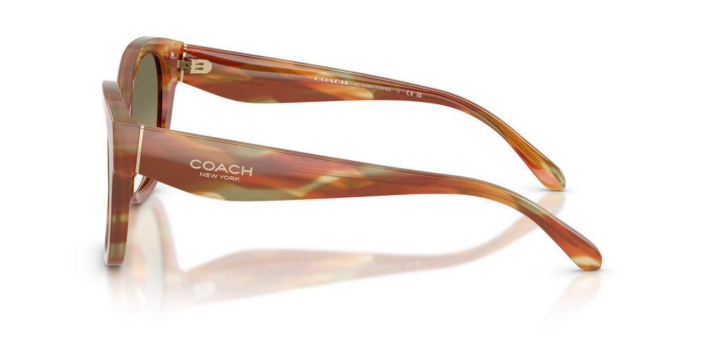 Coach 0HC8438U 5898L0 56 Striated Bark/Moss/ Green Grey Gradient