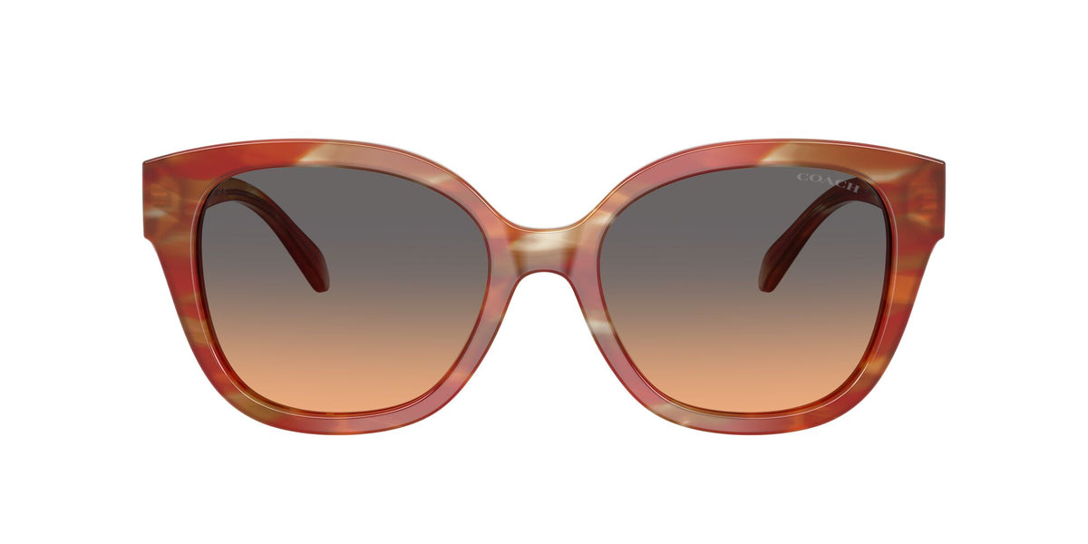 Coach 0HC8438U 590018 56 Striated Chestnut/ Smokey Peach Gradient