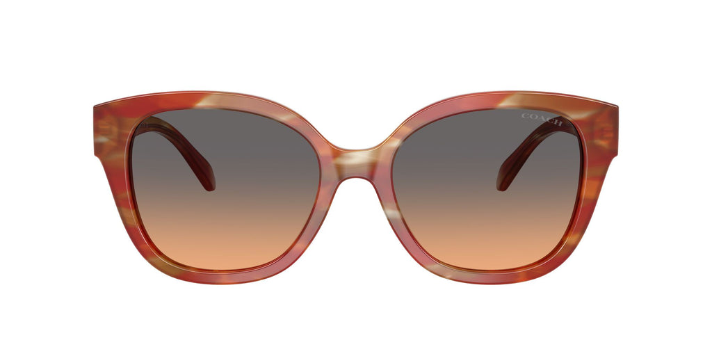 Coach 0HC8438U 590018 56 Striated Chestnut/ Smokey Peach Gradient
