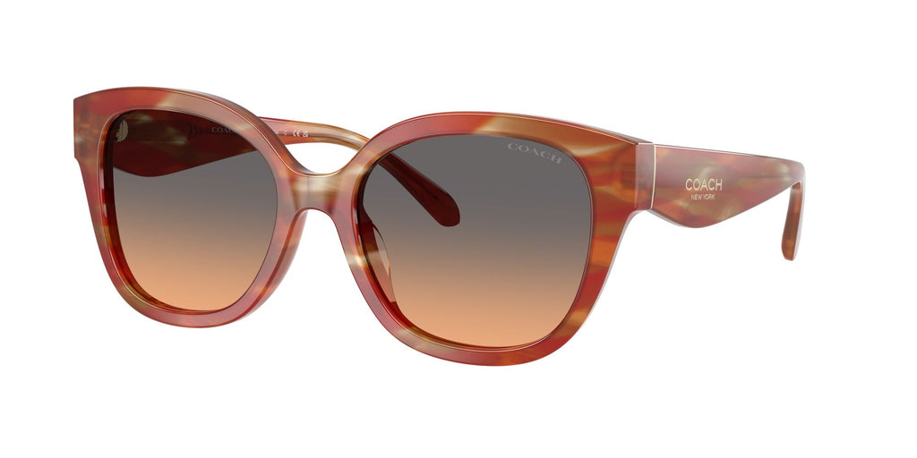 Coach 0HC8438U 590018 56 Striated Chestnut/ Smokey Peach Gradient