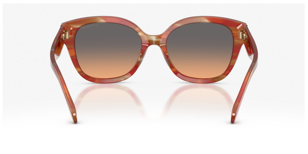 Coach 0HC8438U 590018 56 Striated Chestnut/ Smokey Peach Gradient