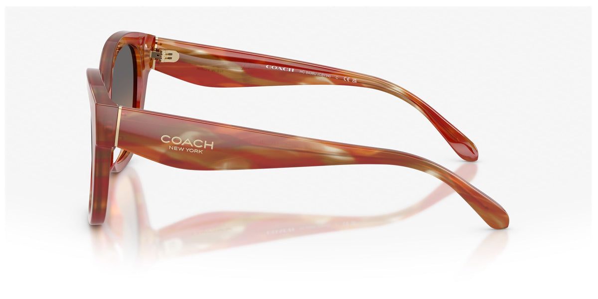 Coach 0HC8438U 590018 56 Striated Chestnut/ Smokey Peach Gradient