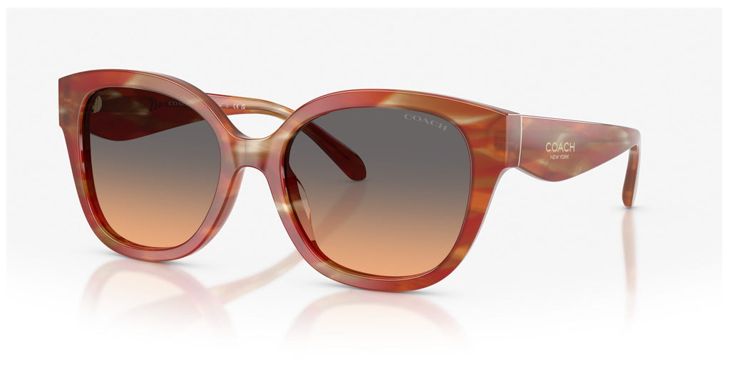 Coach 0HC8438U 590018 56 Striated Chestnut/ Smokey Peach Gradient