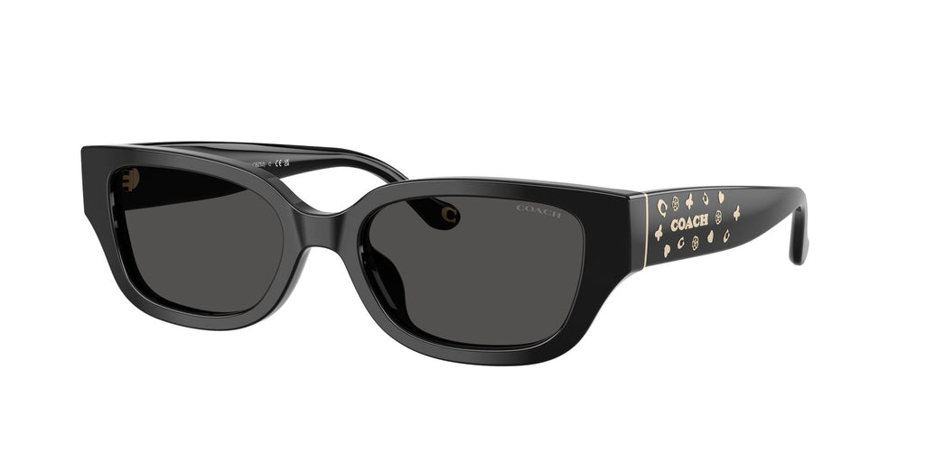 Coach 0HC8439U 500287 53 Black/ Grey Solid