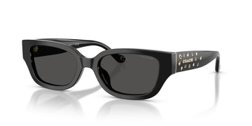 Coach 0HC8439U 500287 53 Black/ Grey Solid