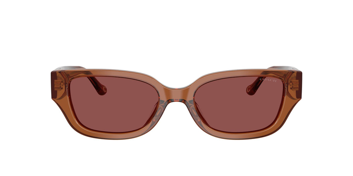 Coach 0HC8439U 581175 53 Transparent Brown/ Wine Solid