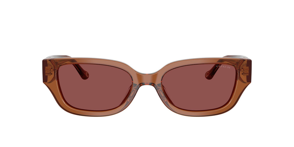 Coach 0HC8439U 581175 53 Transparent Brown/ Wine Solid