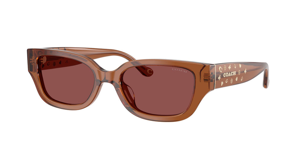 Coach 0HC8439U 581175 53 Transparent Brown/ Wine Solid