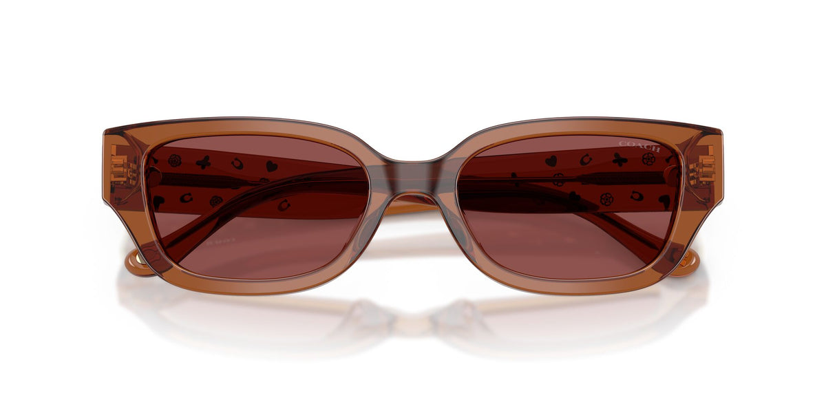 Coach 0HC8439U 581175 53 Transparent Brown/ Wine Solid