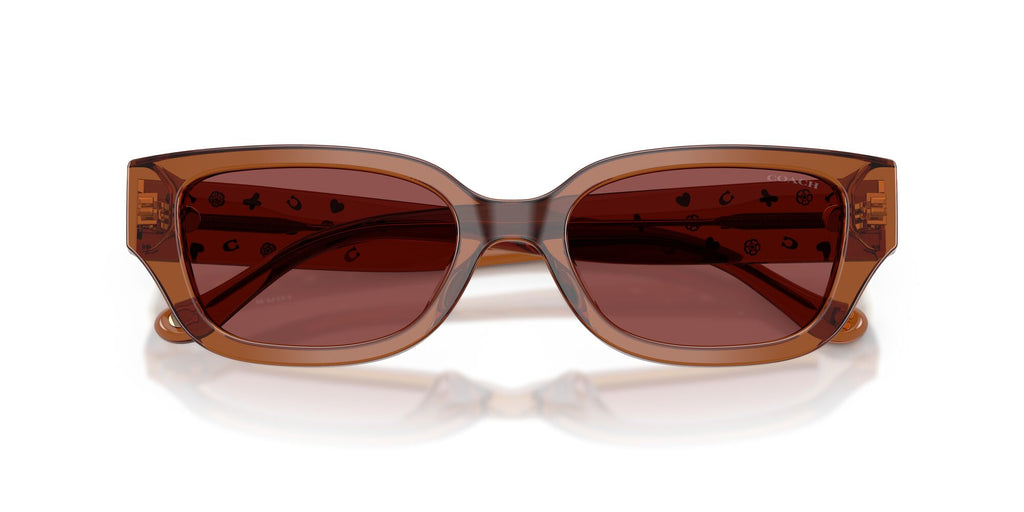 Coach 0HC8439U 581175 53 Transparent Brown/ Wine Solid