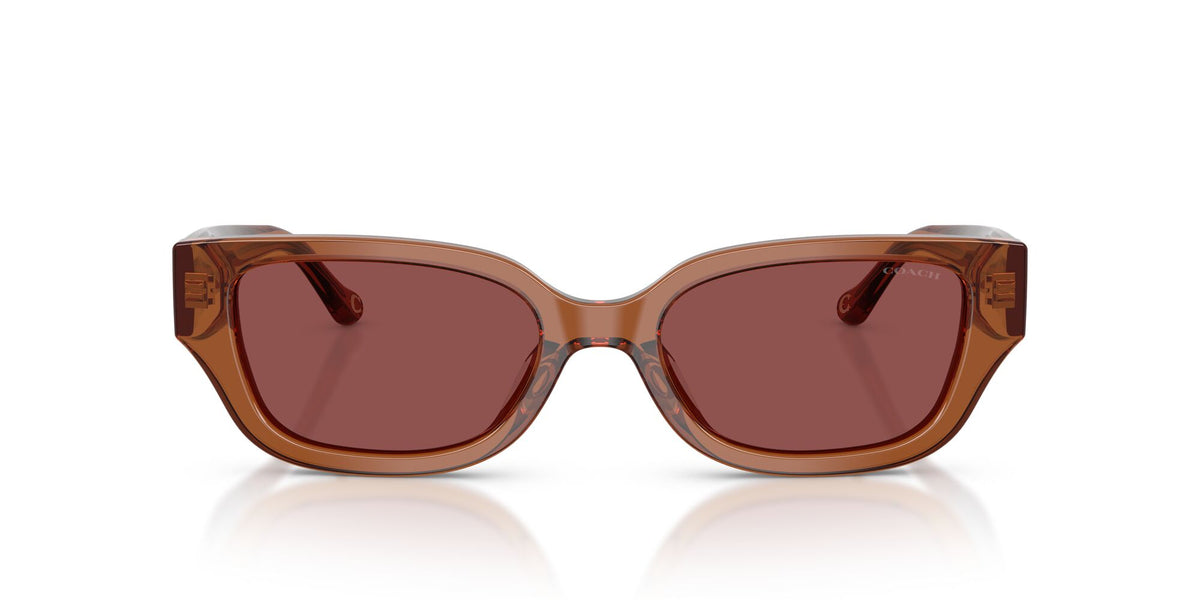 Coach 0HC8439U 581175 53 Transparent Brown/ Wine Solid
