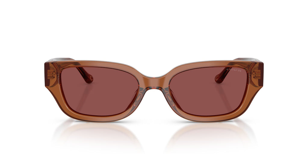 Coach 0HC8439U 581175 53 Transparent Brown/ Wine Solid