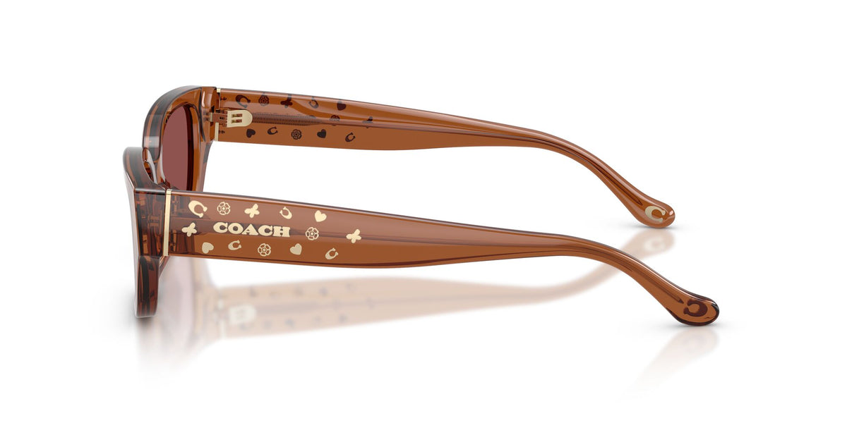 Coach 0HC8439U 581175 53 Transparent Brown/ Wine Solid