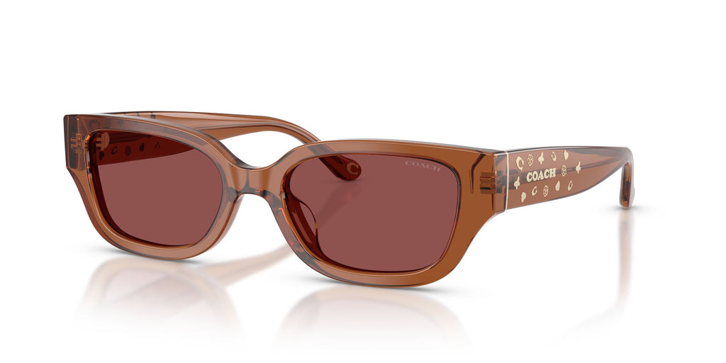 Coach 0HC8439U 581175 53 Transparent Brown/ Wine Solid