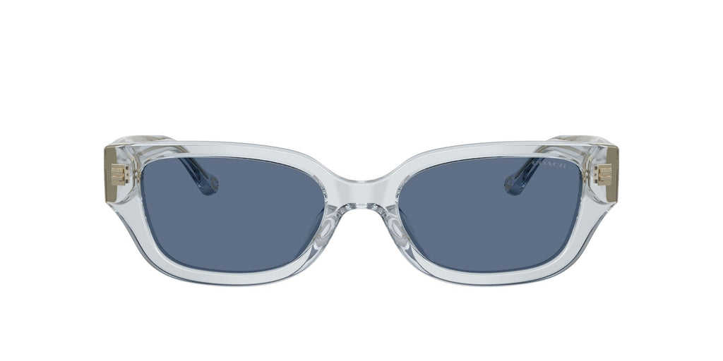 Coach 0HC8439U 590480 53 Transparent Light Blue/ Blue Solid