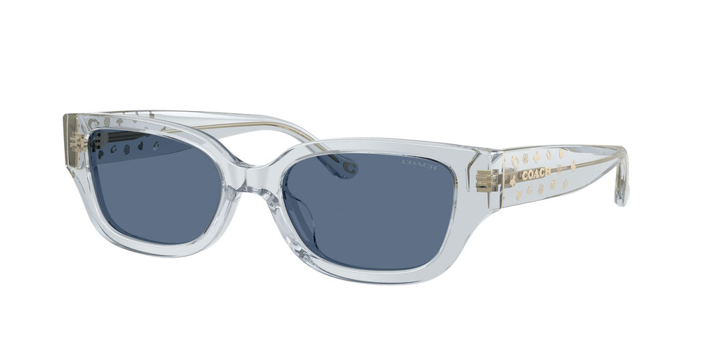 Coach 0HC8439U 590480 53 Transparent Light Blue/ Blue Solid