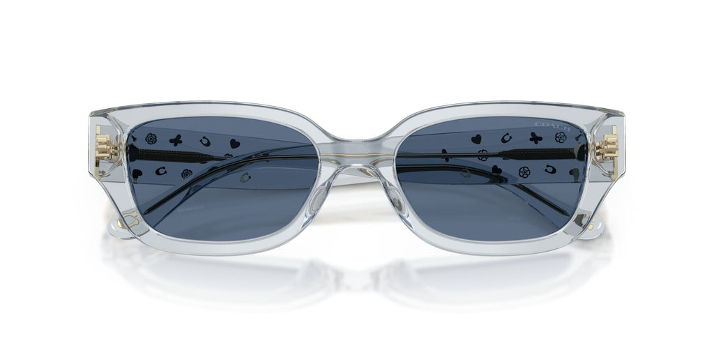 Coach 0HC8439U 590480 53 Transparent Light Blue/ Blue Solid