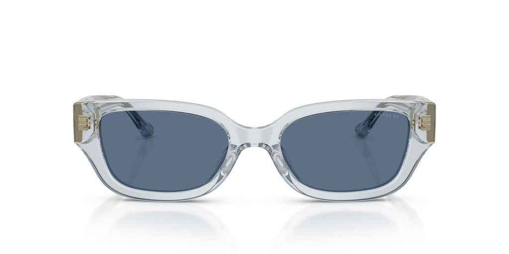 Coach 0HC8439U 590480 53 Transparent Light Blue/ Blue Solid
