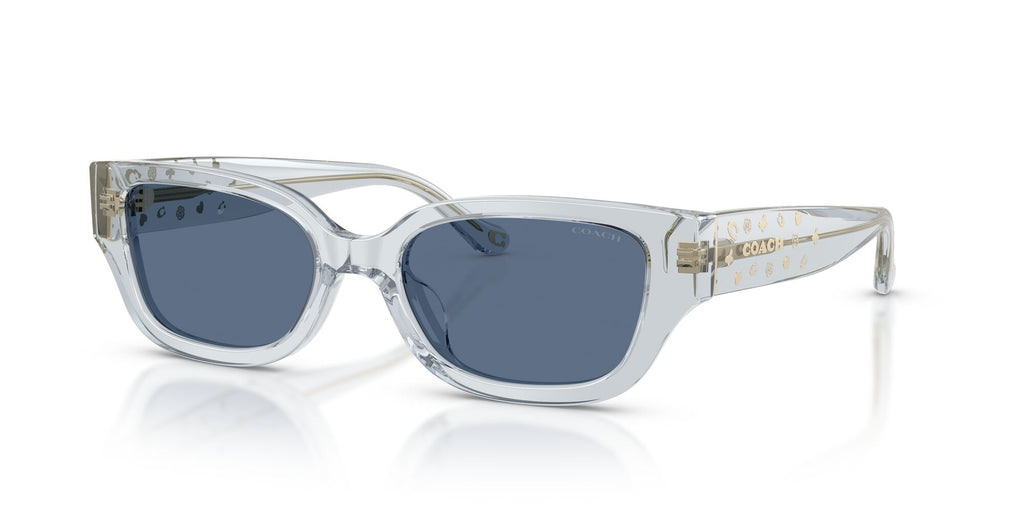 Coach 0HC8439U 590480 53 Transparent Light Blue/ Blue Solid